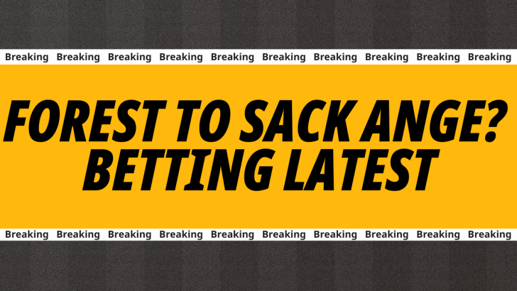 Next Premier League manager to leave betting 
